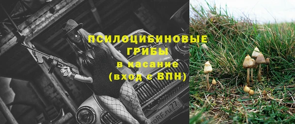 прущие крисы Волосово