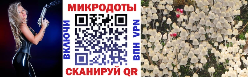 Галлюциногенные грибы Psilocybine cubensis  Знаменск 